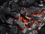Coal India to import fuel for first time in years amid fear of more power outage: Report