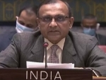 Indians' safety in Ukraine top priority: India at UN