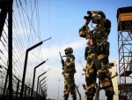 BSF shoots down Pakistani spy drone in Punjab