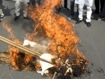 Jammu and Kashmir: Kashmiri Pandits burn effigy of Bitta Karate in Srinagar