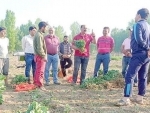 Jammu and Kashmir: Director Agriculture visits OVC Maloora
