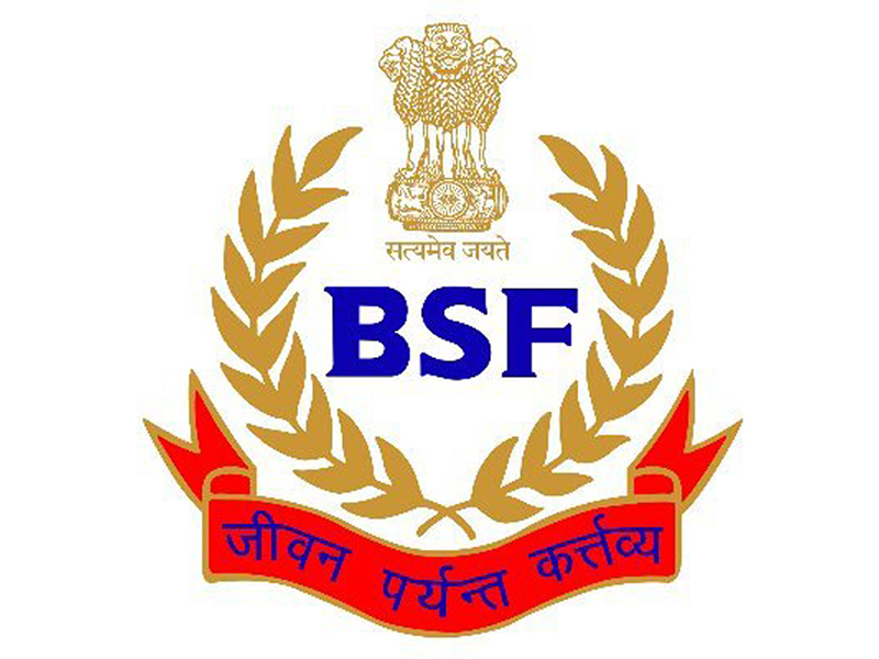Jammu and Kashmir: BSF unity chain in Srinagar