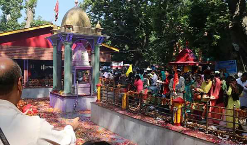 Jammu and Kashmir: Pandits reach Tulmulla for Kheer Bhawani festival