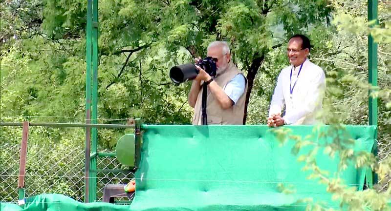 Economy and ecology are not at cross purposes: PM Modi