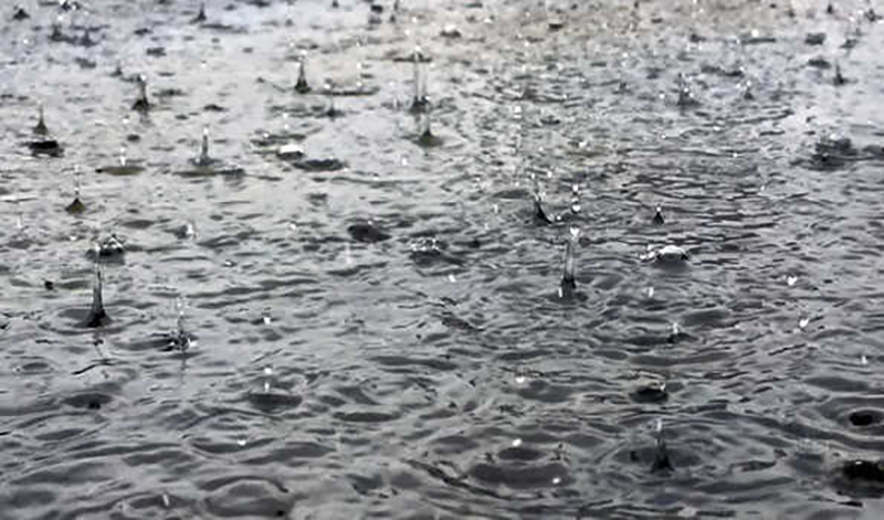 Maharashtra: Rain plays havoc in parts of Marathwada region