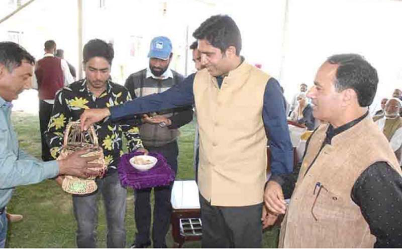 Jammu and Kashmir: Tulip Festival at Spice Park Pampore begins