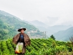 VisionSpring launches 'Livelihoods in Focus' campaign in Assam to help 10 lakh tea workers