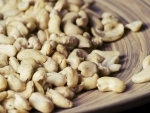 APEDA flags off cashew nut shipments to Bangladesh, Qatar, Malaysia and USA to mark National Cashew Day