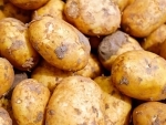 Jammu and Kashmir: PepsiCo India Holdings Pvt Ltd to procure potatoes from Gurez to make chips