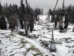 Freezing cold grips Kashmir as temperature dips