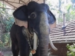 Kerala temple gets mechanical elephant to offer prayers in end of animal cruelty