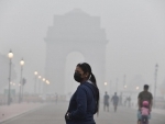 Delhi govt closes primary schools till Nov 10 as air quality worsens
