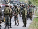 Jammu and Kashmir: 2 infiltrators killed at LoC