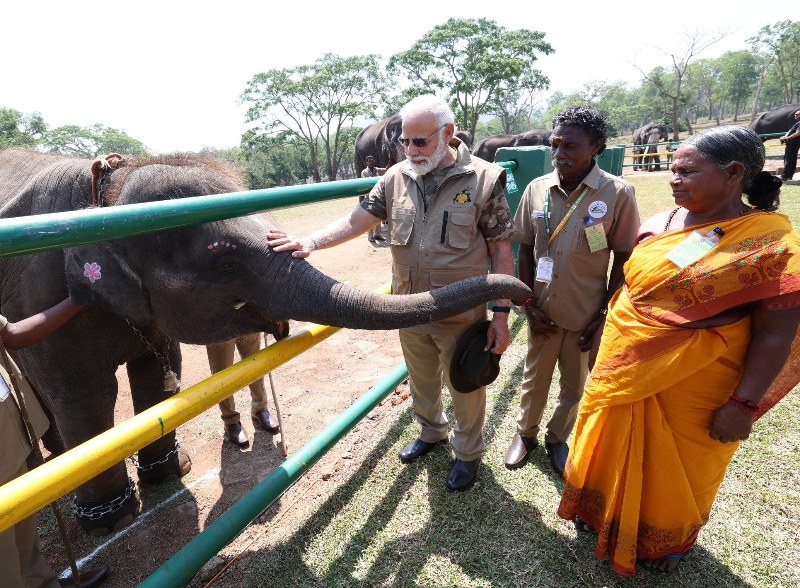 PM Modi meets Bomman and Bellie, stars of Oscar-winning documentary 'The Elephant Whisperers' in Mudumalai Tiger Reserve