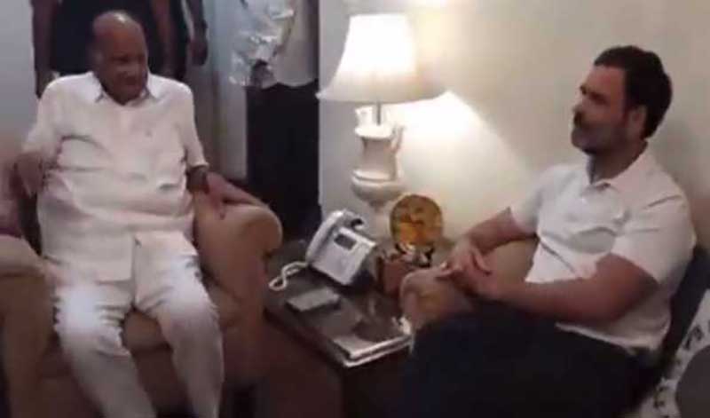 Amid NCP crisis, Rahul Gandhi meets Sharad Pawar