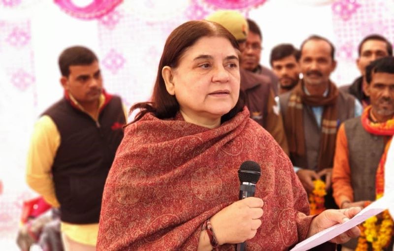 Maneka Gandhi says ISKCON 'sells cows to butchers', temple body rejects allegations