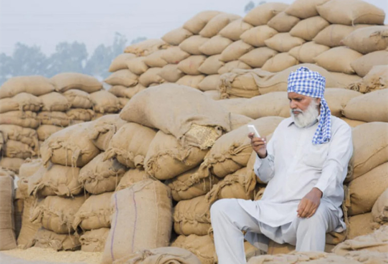 A cry from the fields: Empowering Punjab’s farmers with cold storage and infrastructure