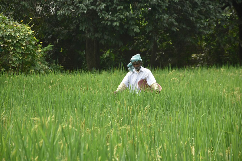 Bengal ration scam: Rice millers opened fake bank accounts to pocket MSP, says ED