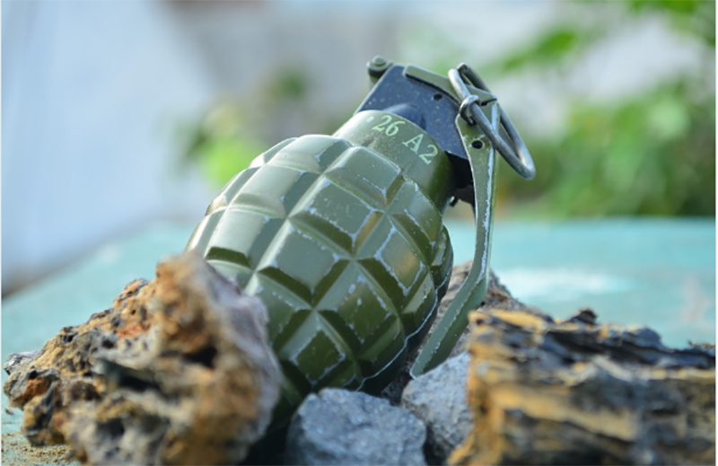 Two hand grenades recovered from Delhi’s Bhalswa Dairy area
