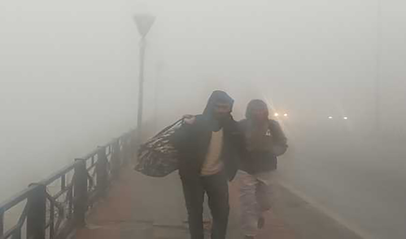 Intense cold, fog disrupts normal life in Jammu and Kashmir