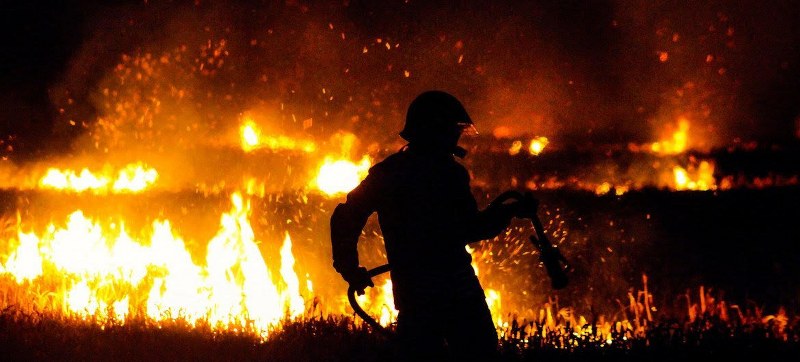 A firefighter battles a wildfire. Photo Courtesy: Unsplash/Fabian Jones 