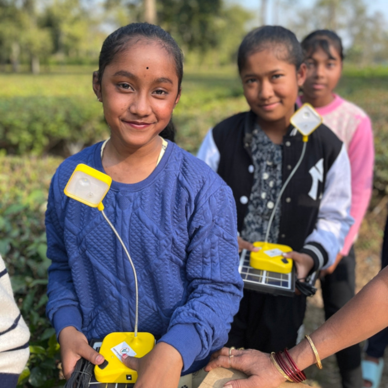 Woolah Tea empowers children in Assam's small tea farms with solar lamps for uninterrupted study