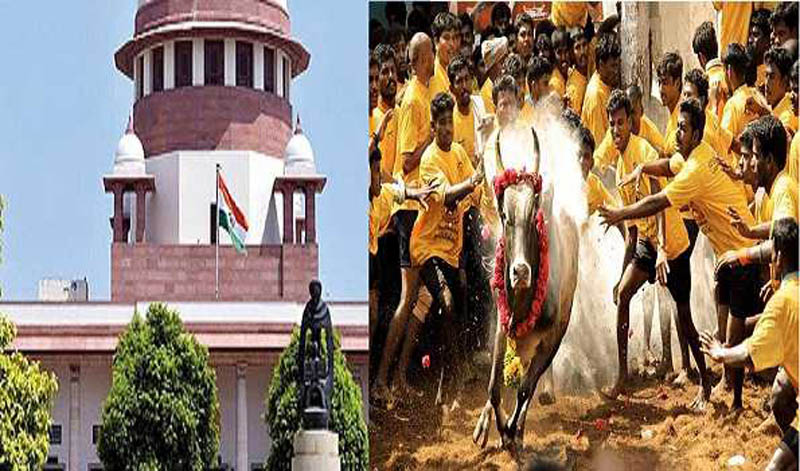 Supreme Court's Constitution Bench affirms Tamil Nadu law allowing Jallikattu
