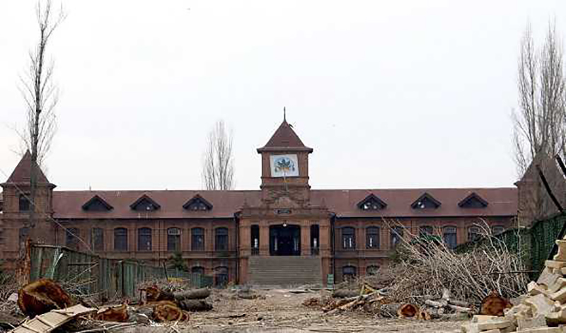 Axing of popular trees at Srinagar's Amar Singh College triggers anger