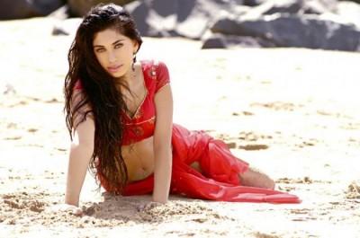 Bhopal-A Prayer for Rain actress Fagun Thakrar  on a roll