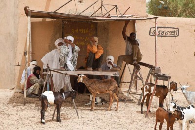 Mali: UN heads north to push for ceasefire