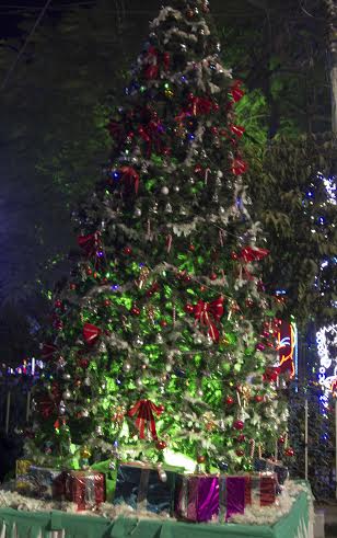 Christmas fever grips Kolkata