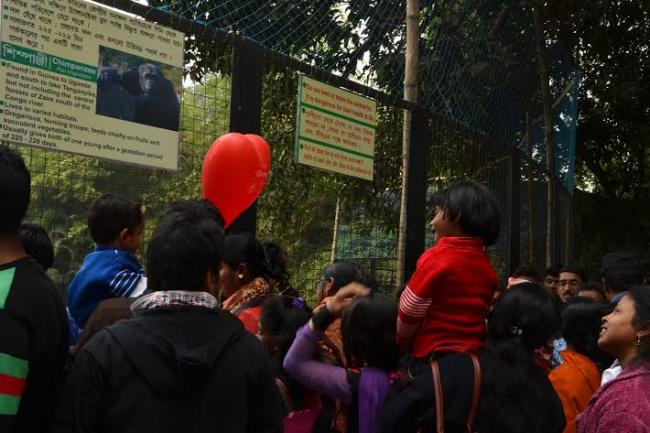 Kolkata celebrates new year amid pomp and gaiety