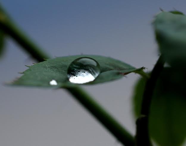 Clouds and raindrops through the 'lens' marking photography day