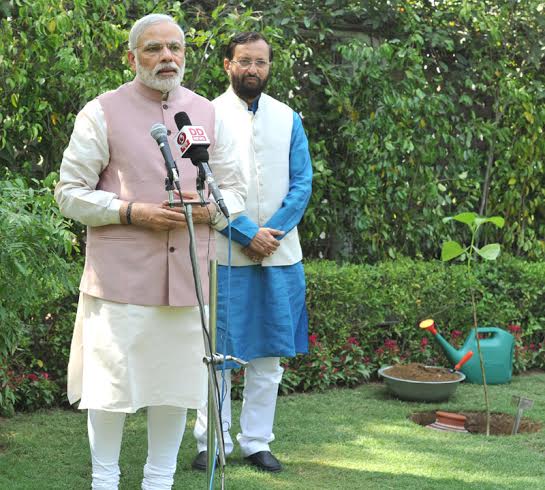 PM plants "Kadamb" sapling on World Environment Day
