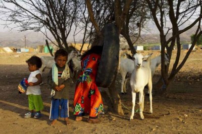 Yemen conflict is taking 'dreadful toll' on civilians: UN relief official