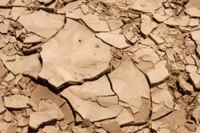 UN urges action to protect â€˜every hectareâ€™ of arable land