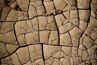 Ethiopia experiencing worst drought in 30 years due to El NiÃ±o conditions: UN report