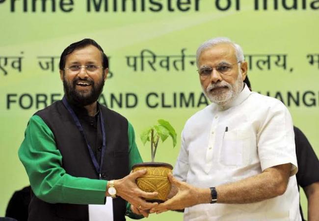 India should be a global leader in fight against climate change: PM Modi