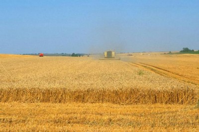 Food price index drops in December due to abundant supplies, slow economic growth - UN agency