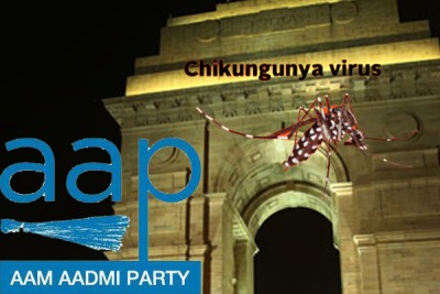 Chikungunya toll in Delhi rises to 11