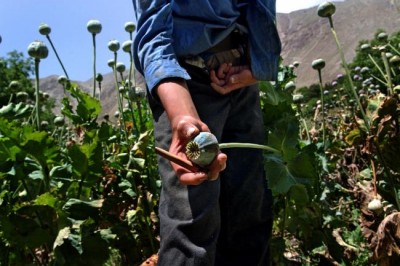 Ban warns illicit drugs impede sustainable development, calls for every solution to be weighed