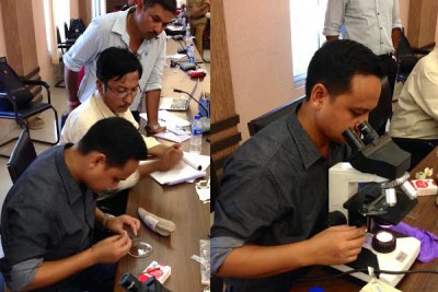 Rhino horn verification begins in Assam