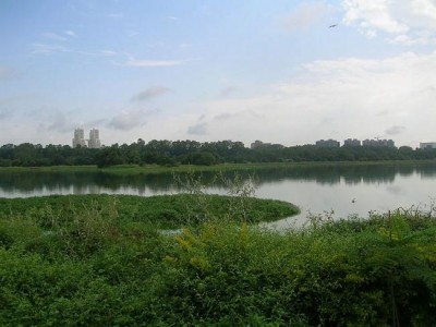 Govt approves measures for conservation of lakes in Bengaluru 