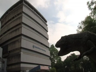 Massive fire destroys natural history museum in Delhi