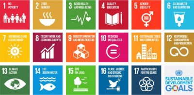 INTERVIEW: Sustainable Development Goals must be owned by everyone, says senior UN officia