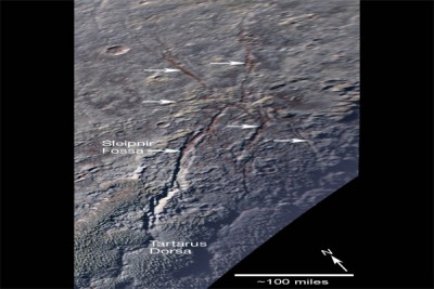 Icy â€˜Spiderâ€™ on Pluto