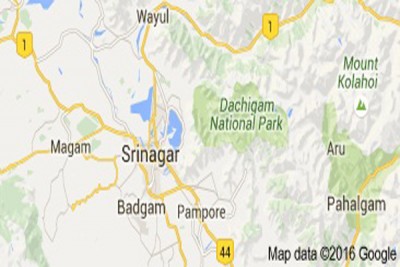 Curfew continues in Kashmir Valley, death toll reaches 29 