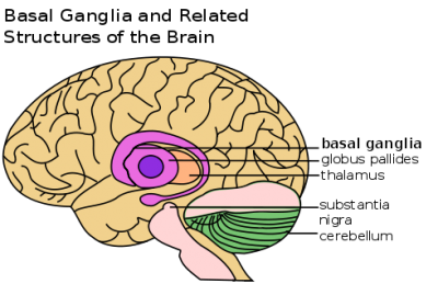 For children with Tourette syndrome, environmental responses to tics play big role