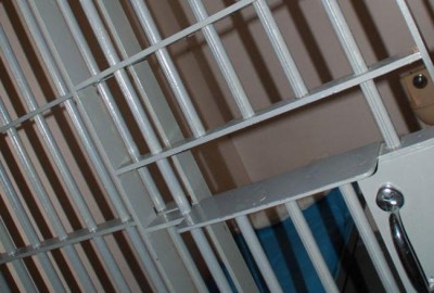 ICE  UN official 'deeply concerned' about health of detained Palestinian hunger striker