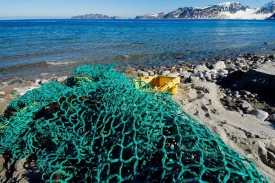 New UN report finds marine debris harming more than 800 species, costing countries millions